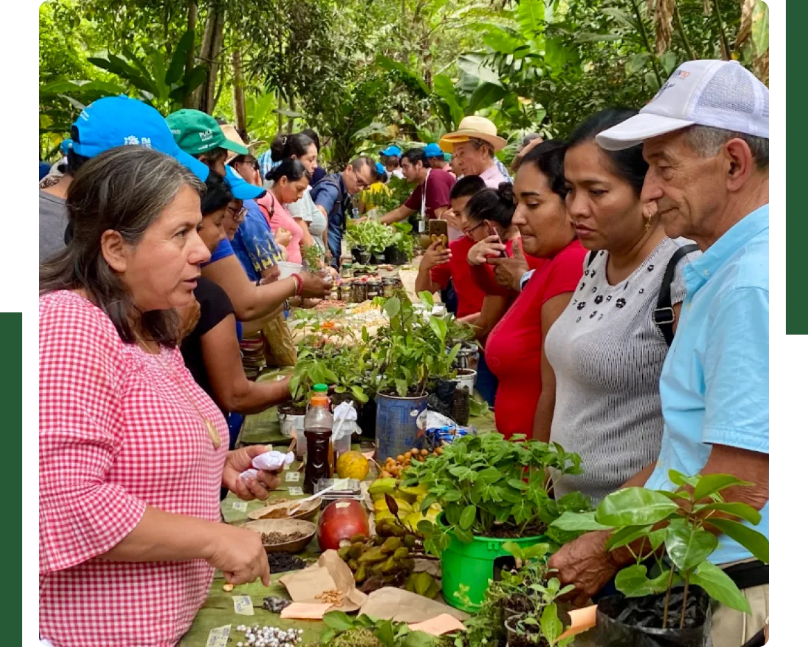 conoce-las-practicas-exitosas