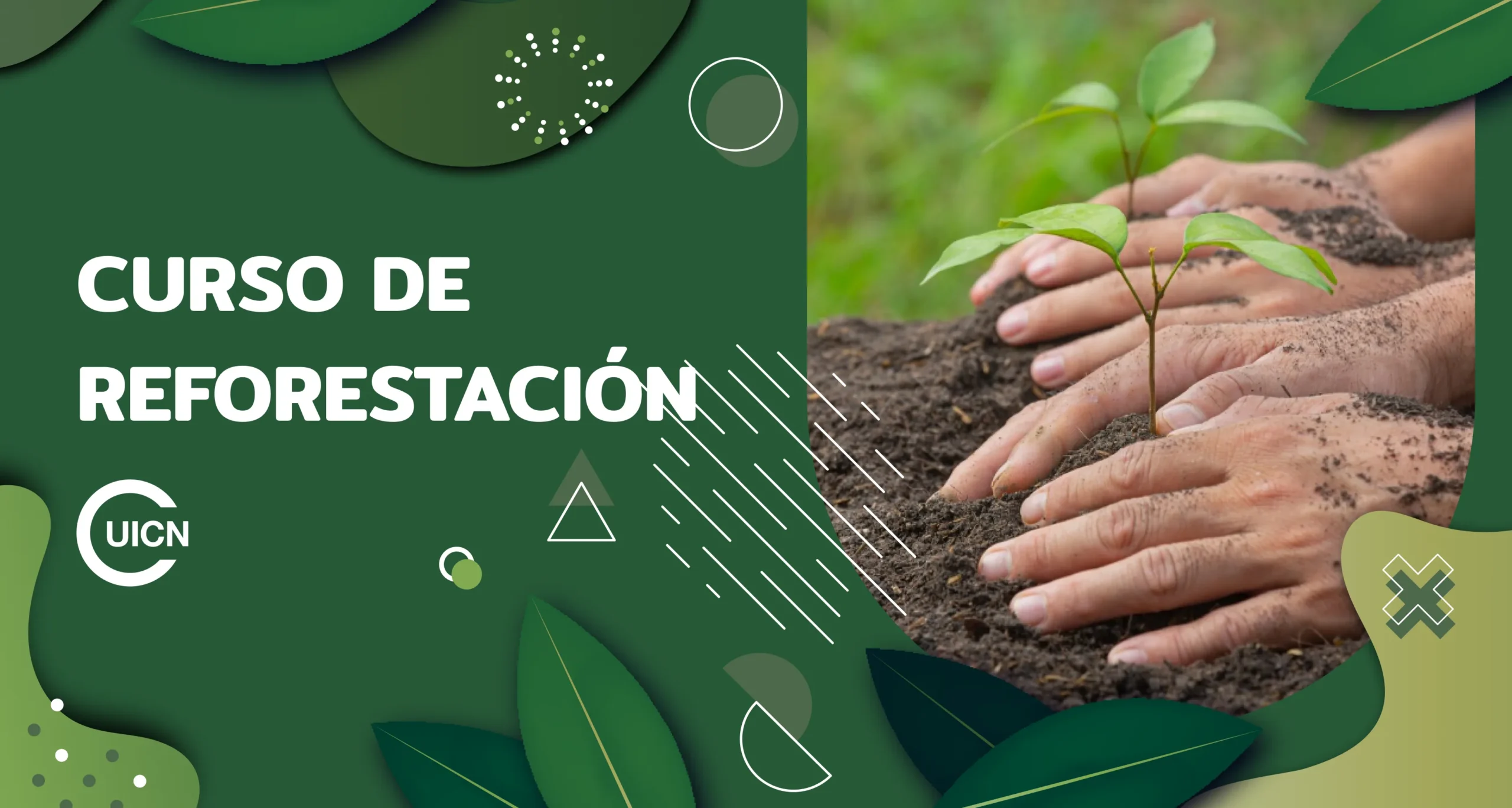 Siembra de Agua y Restauración: Ecosistemas de Alta Montaña en los Andes